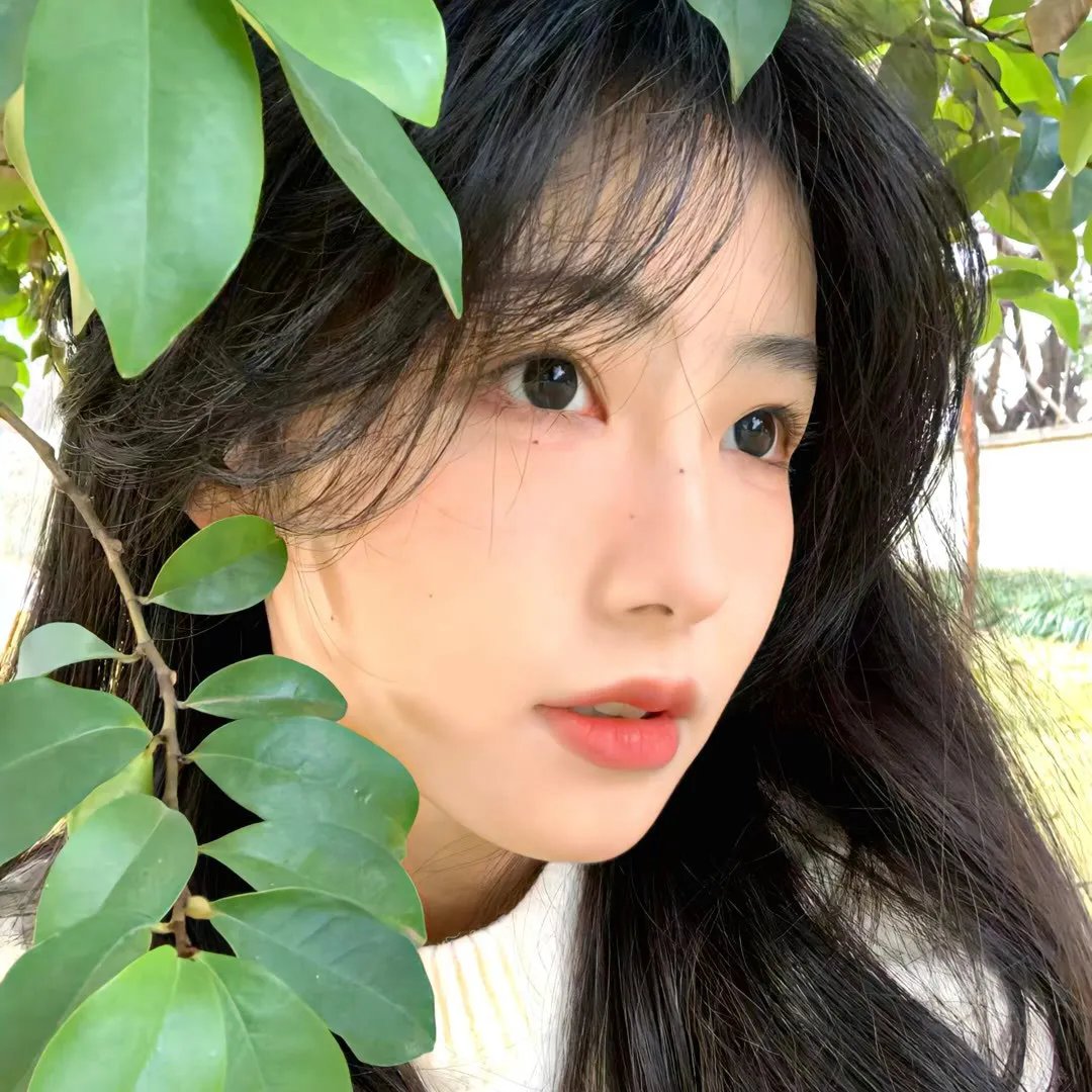 梅耶林